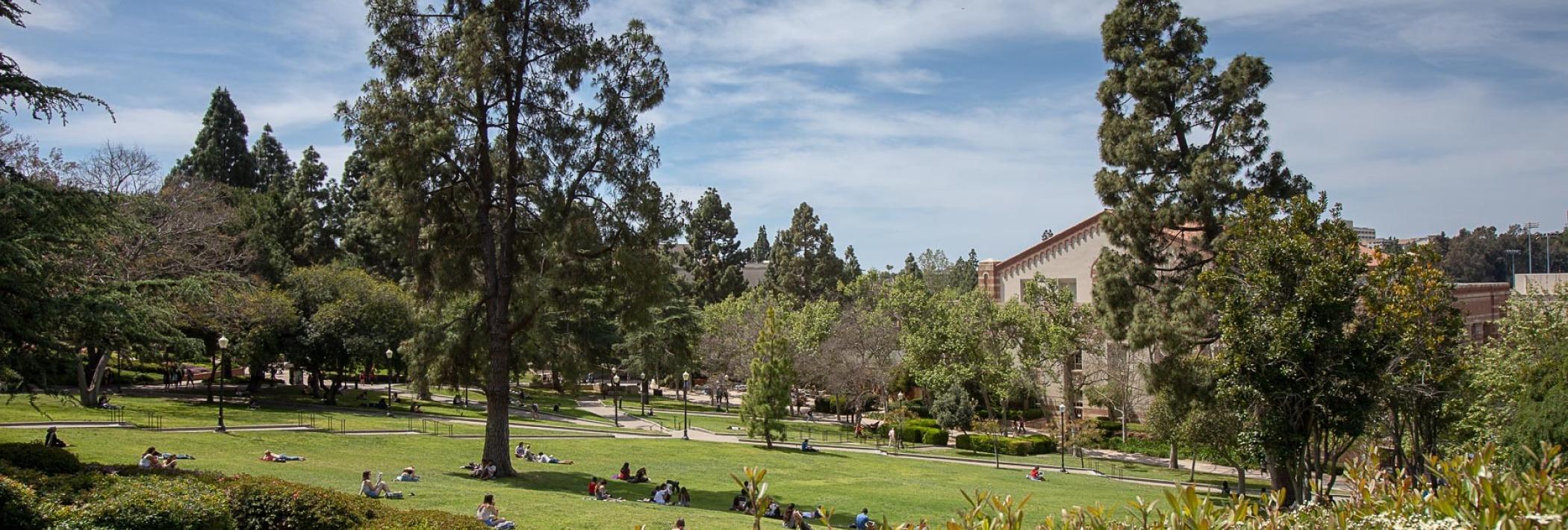 UCLA Quad with green grass and trees